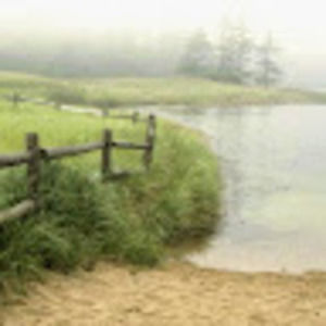 Meet your Posher, Jubin